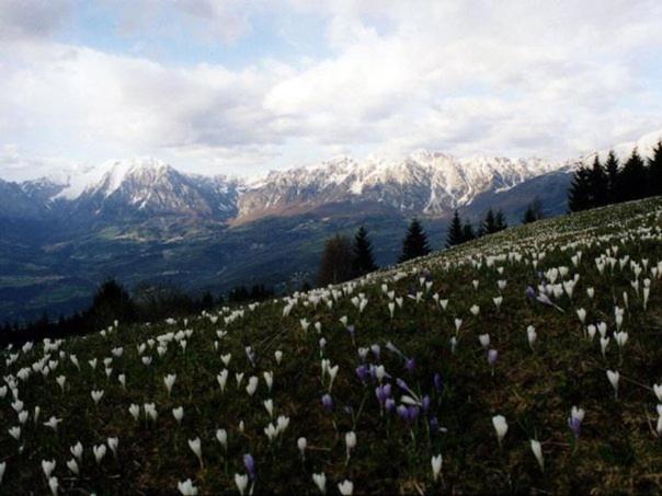 Da C I S A Bed & Breakfast Tambre d'Alpago Luaran gambar