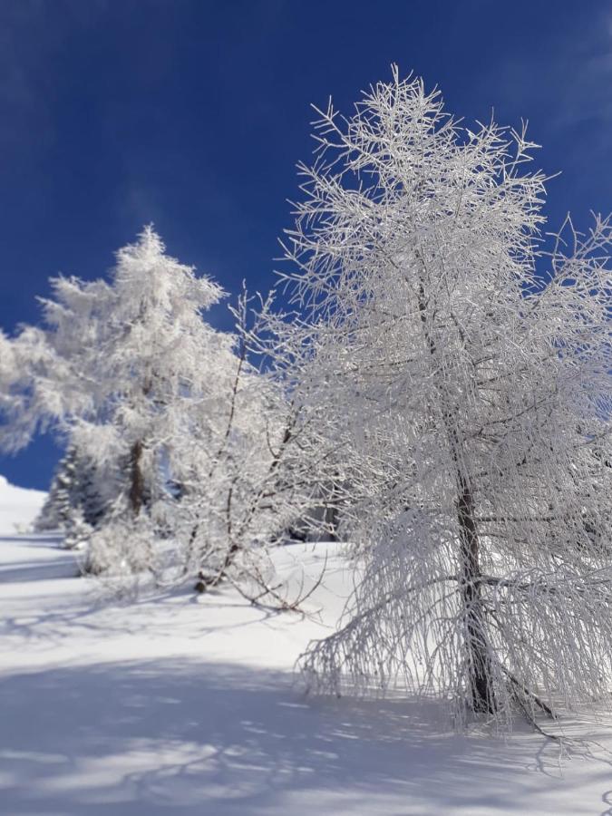 Da C I S A Bed & Breakfast Tambre d'Alpago Luaran gambar
